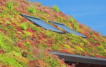 Clopton Corner living roof systems